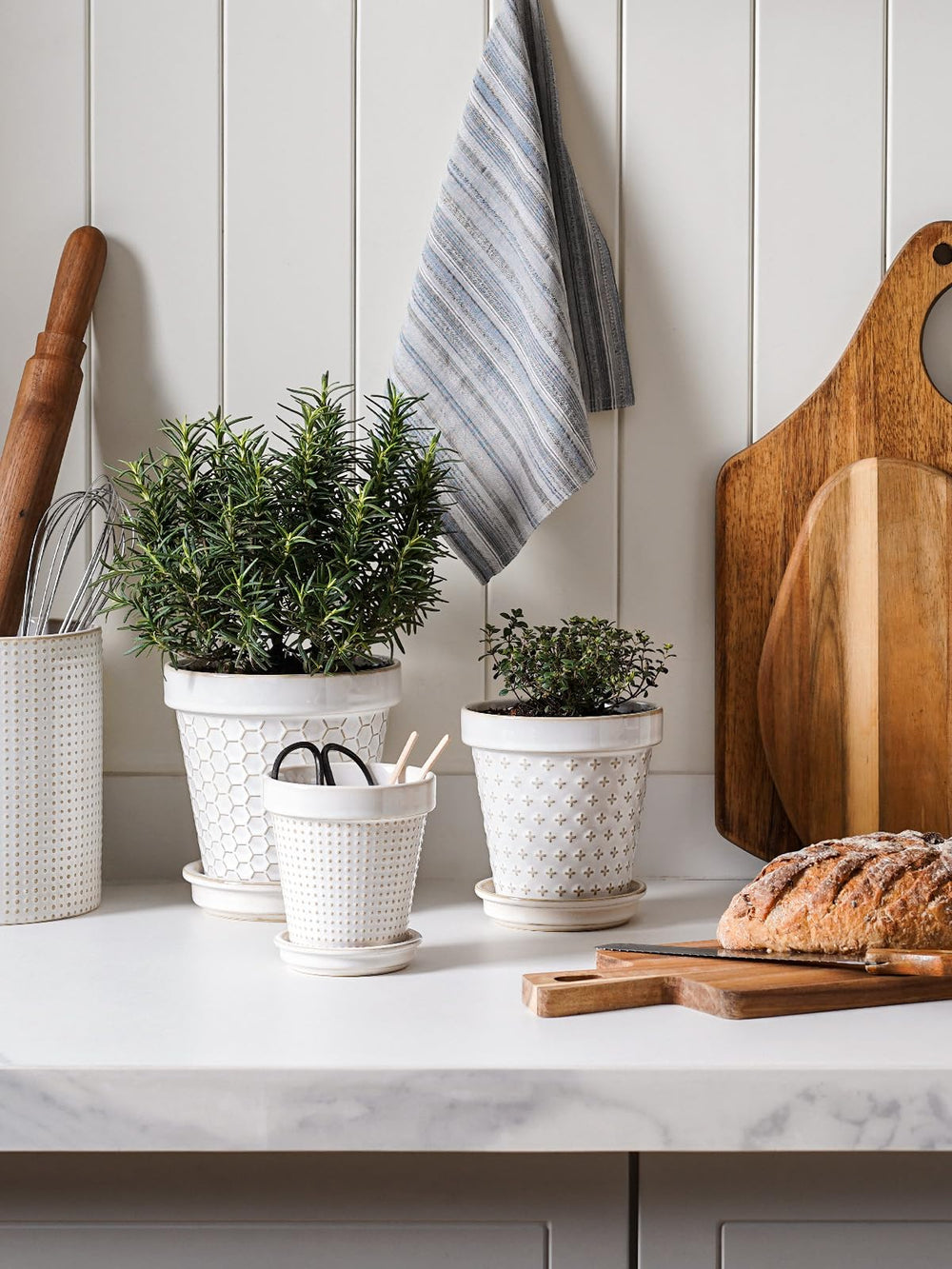 LE TAUCI 5 Inch Ceramic Plant Pot filled with basil plant