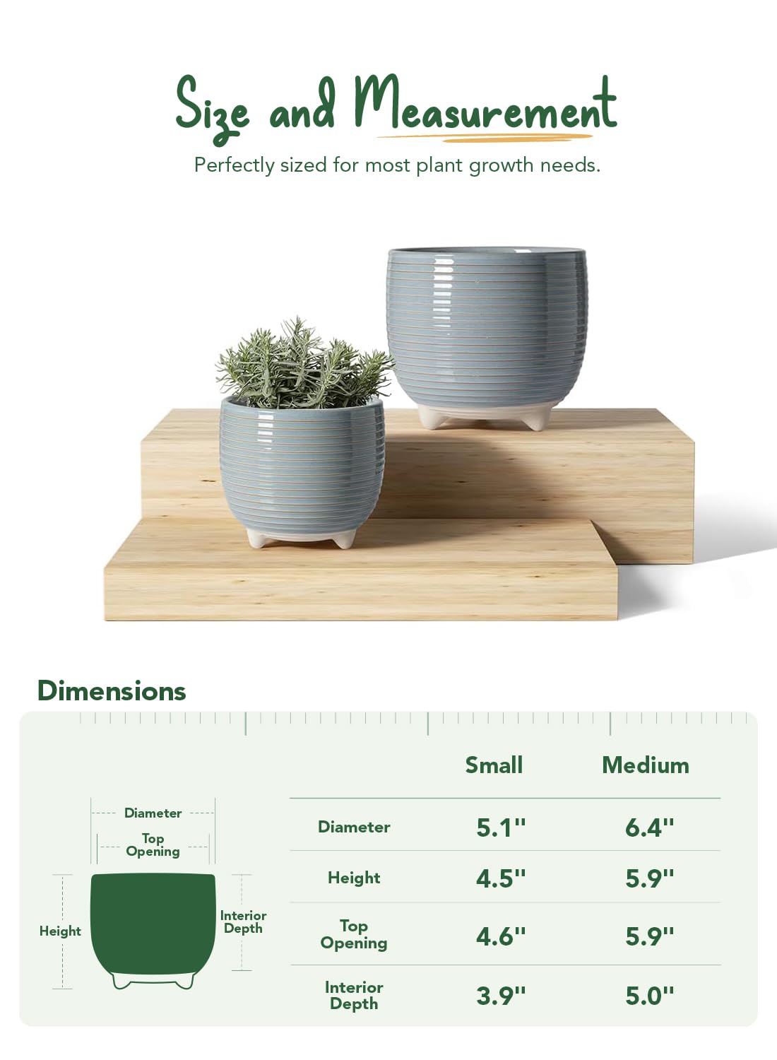 LE TAUCI 6.4 inch ceramic pot displaying vibrant green plant