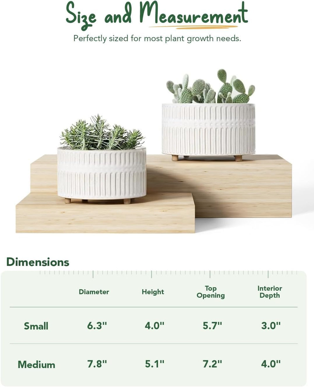 LE TAUCI 6.5 inch ceramic succulent planter with reactive glaze