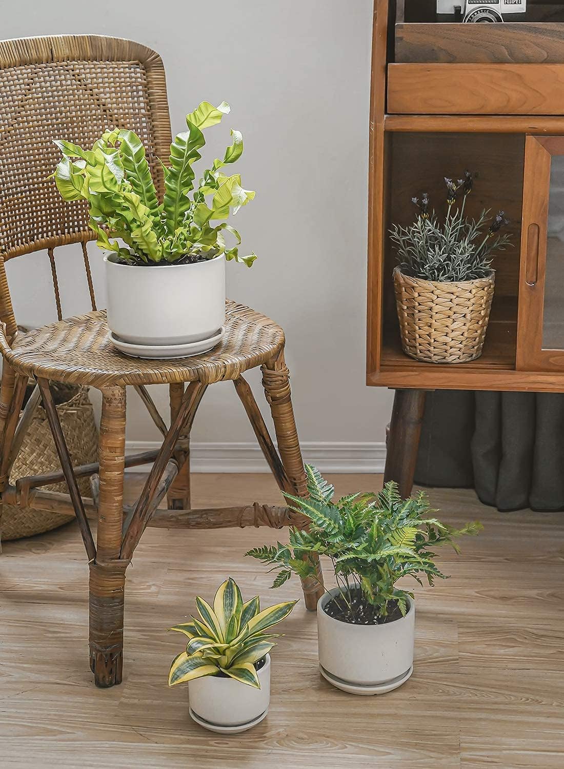 LE TAUCI 6.8 inch ceramic pot with clean glazed finish