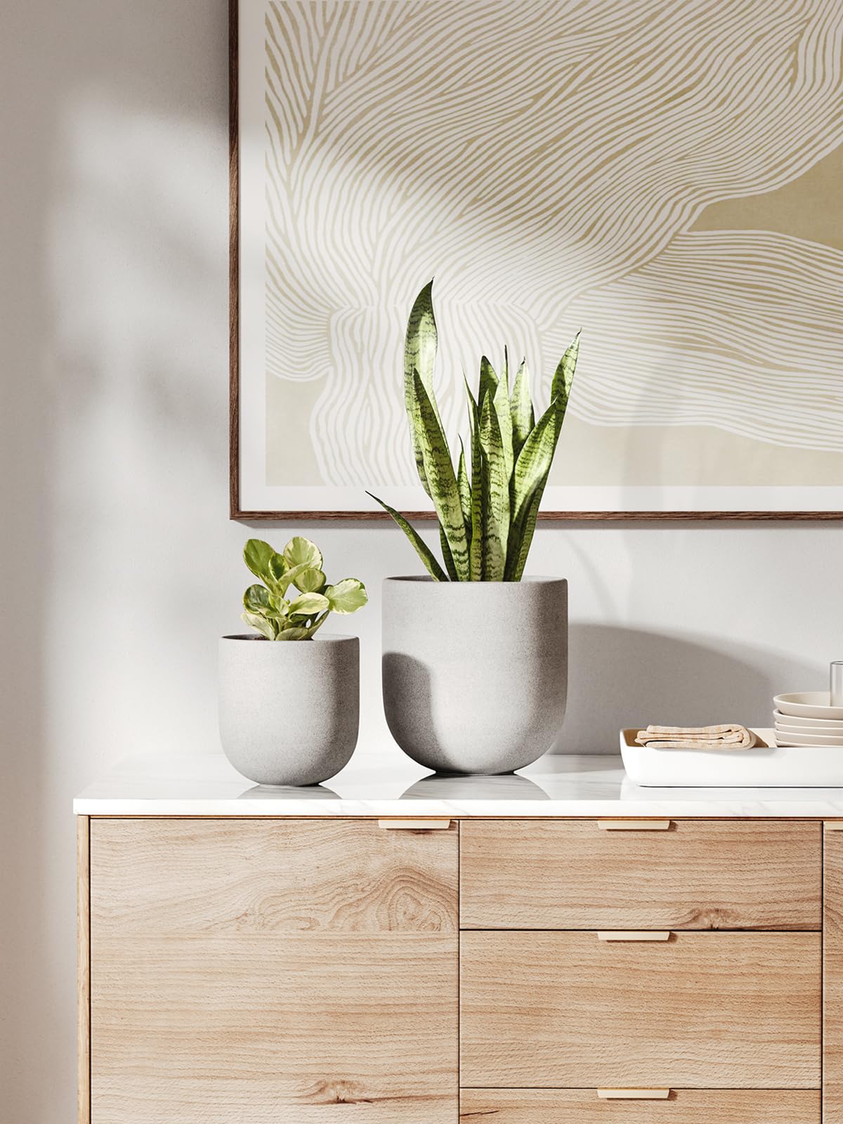 LE TAUCI 8 Inch Ceramic Plant Pot beside a spider plant