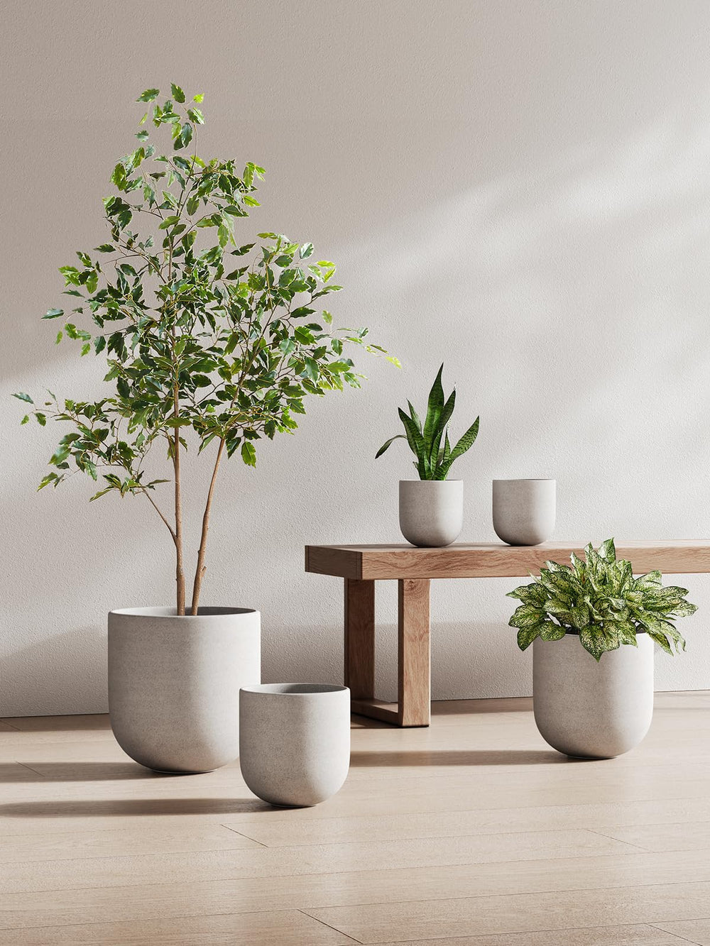 LE TAUCI 8 Inch Ceramic Plant Pot from above showing inner opening