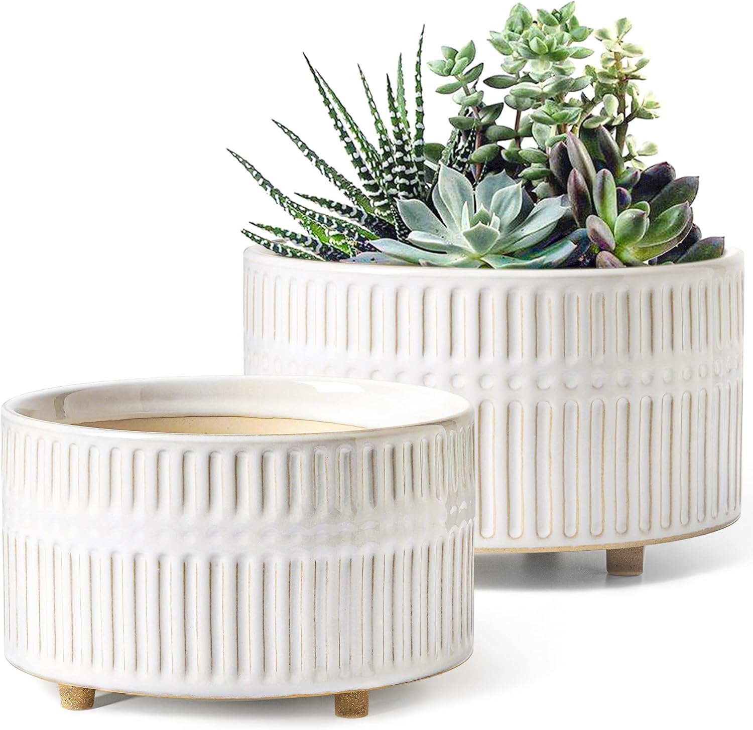 LE TAUCI 8 inch ceramic succulent planter with drainage hole