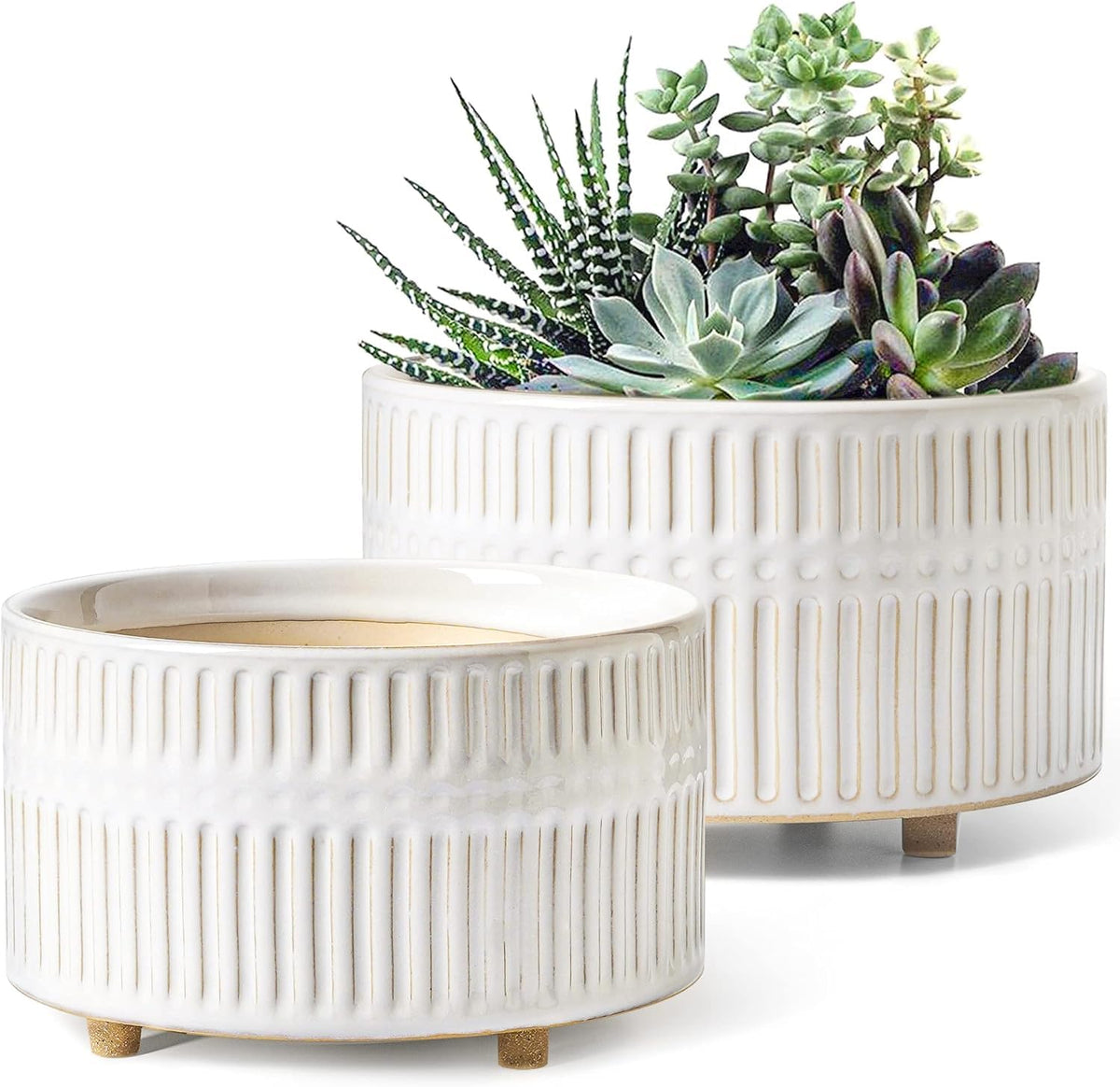 LE TAUCI 8 inch ceramic succulent planter with drainage hole