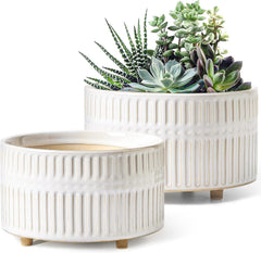 LE TAUCI 8 inch ceramic succulent planter with drainage hole