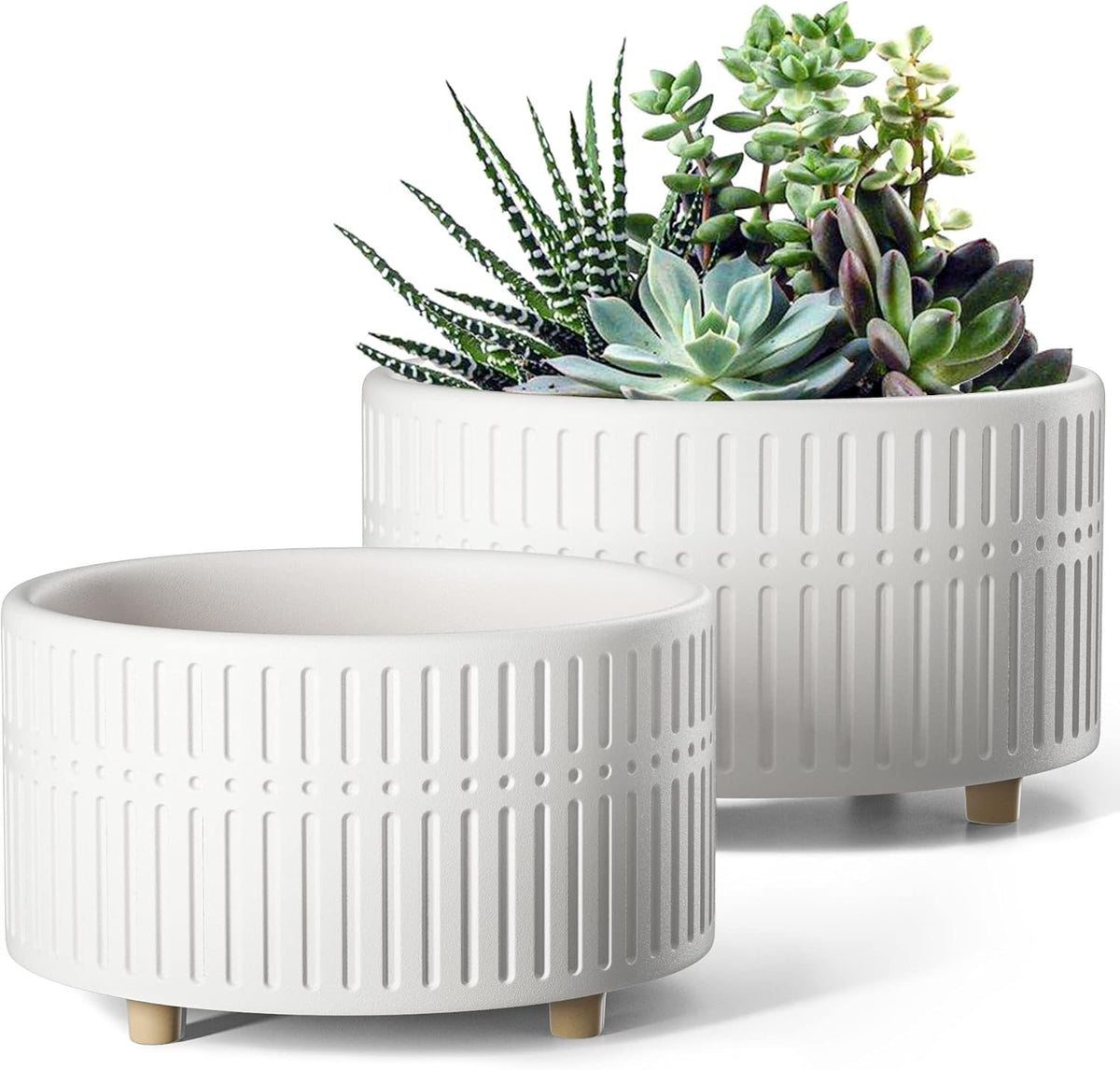 LE TAUCI 8-inch succulent pot front view with drainage hole