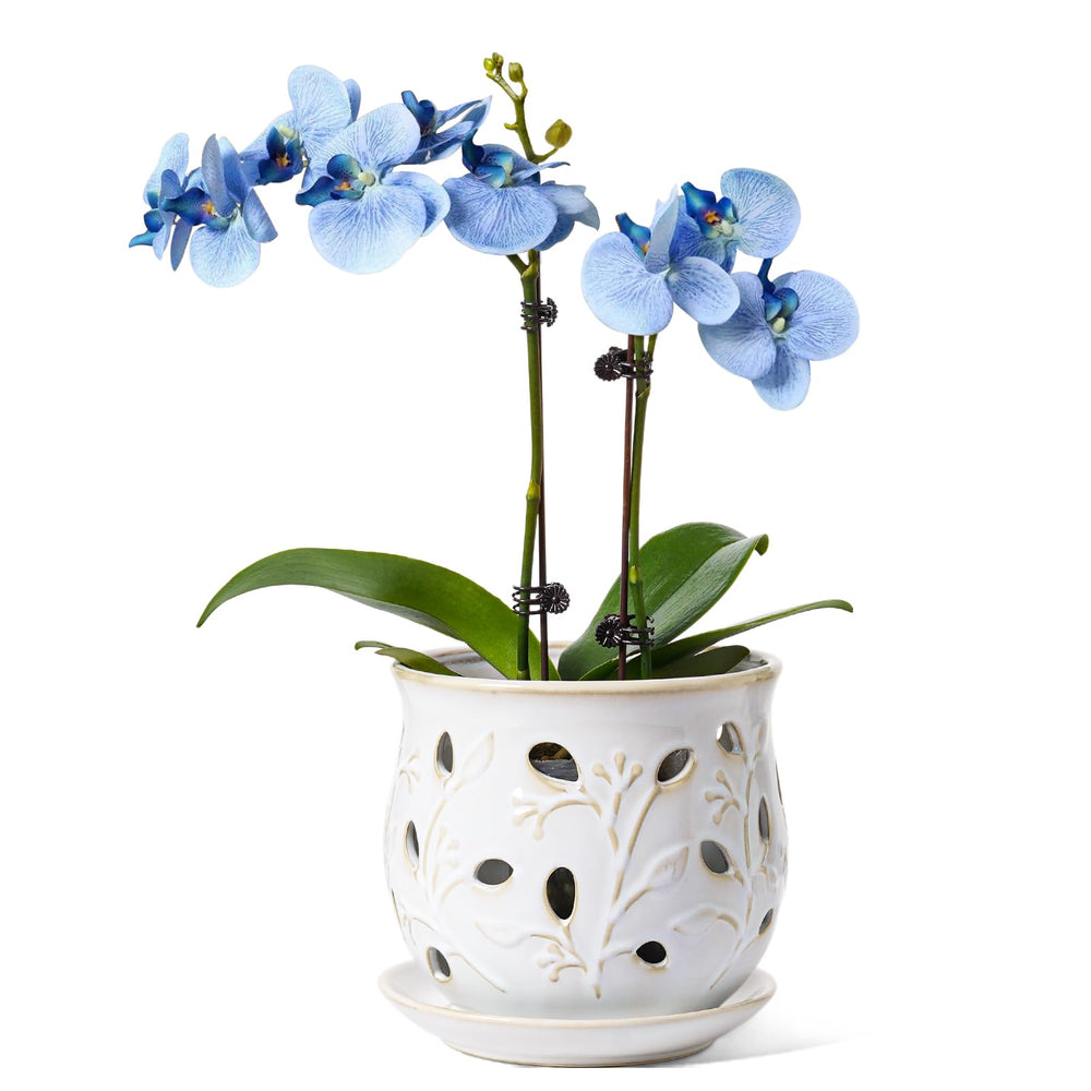 LE TAUCI Ceramic Orchid Pot 6.5 Inch front view with matching saucer