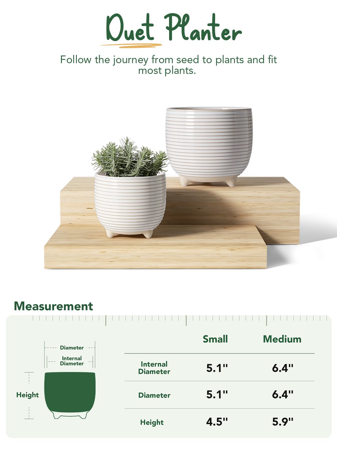 LE TAUCI Ceramic Plant Pot 6.4 inch top view with soil