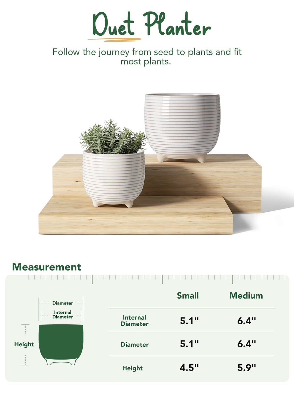 LE TAUCI Ceramic Plant Pot 6.4 inch top view with soil
