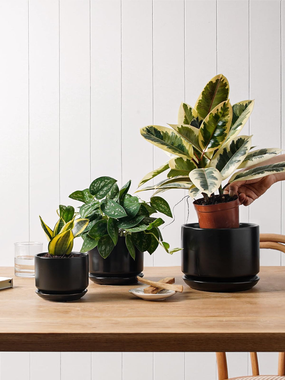 LE TAUCI Ceramic Plant Pot black front view