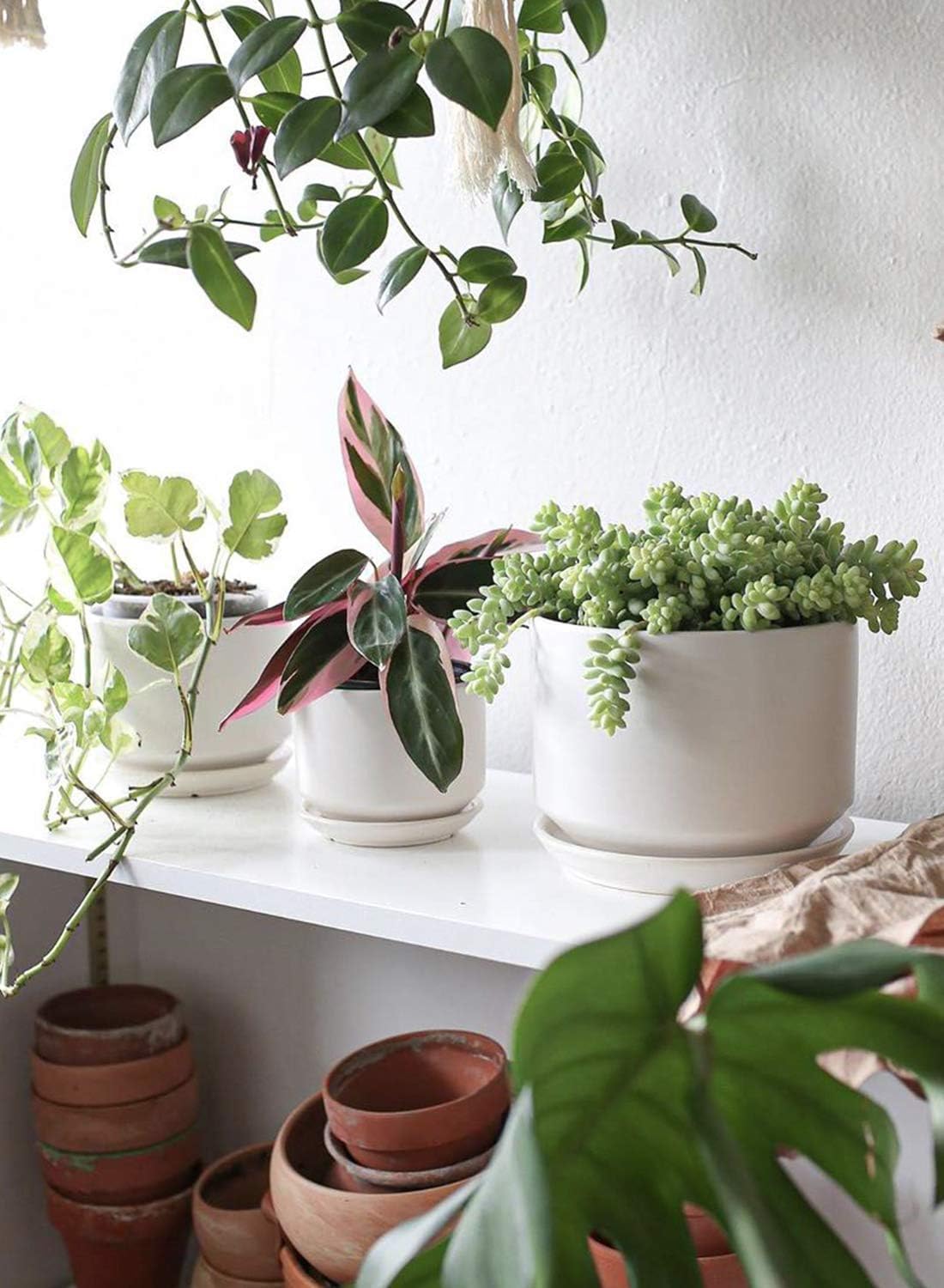 LE TAUCI ceramic plant pot in modern home decor setting