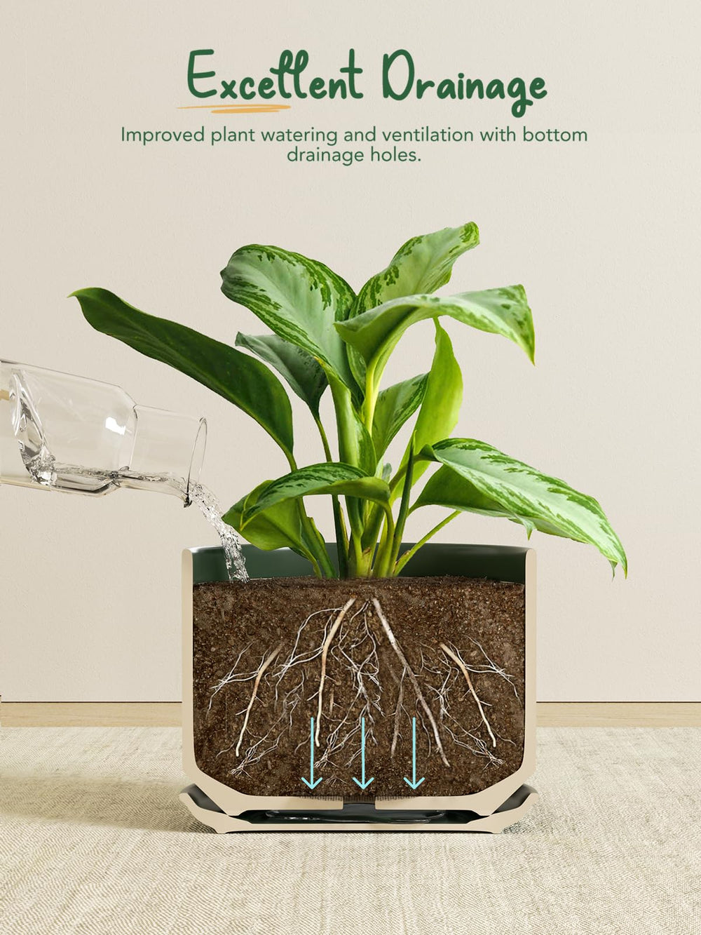 LE TAUCI Ceramic Plant Pot with attached saucer view