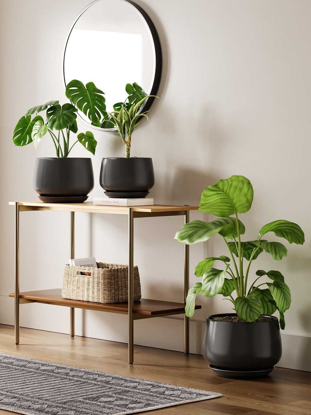 LE TAUCI Ceramic Planter with Snake Plant inside