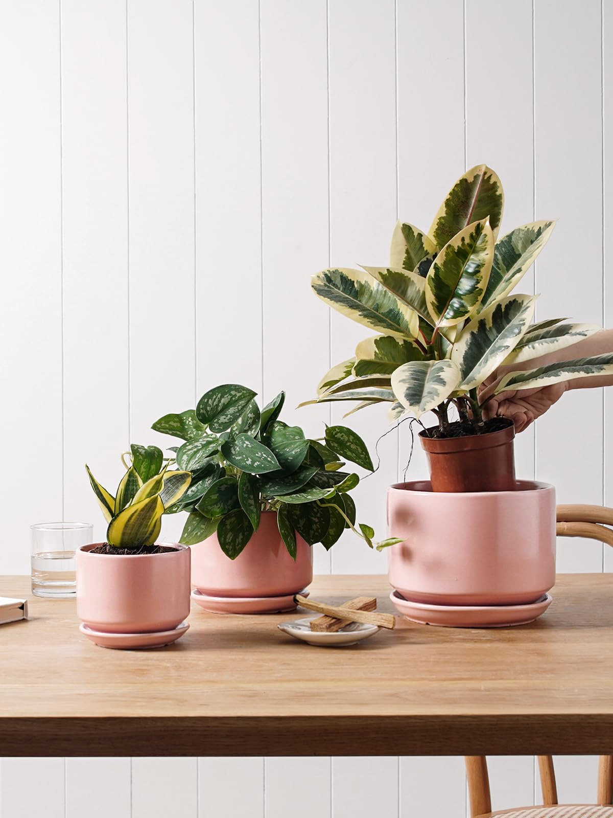 LE TAUCI ceramic pot set with attached saucers