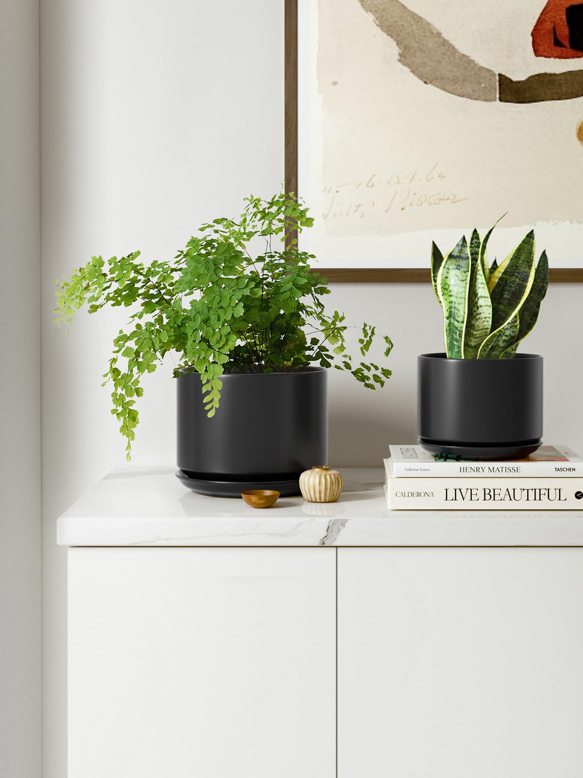 LE TAUCI Ceramic Pot with a peace lily in it
