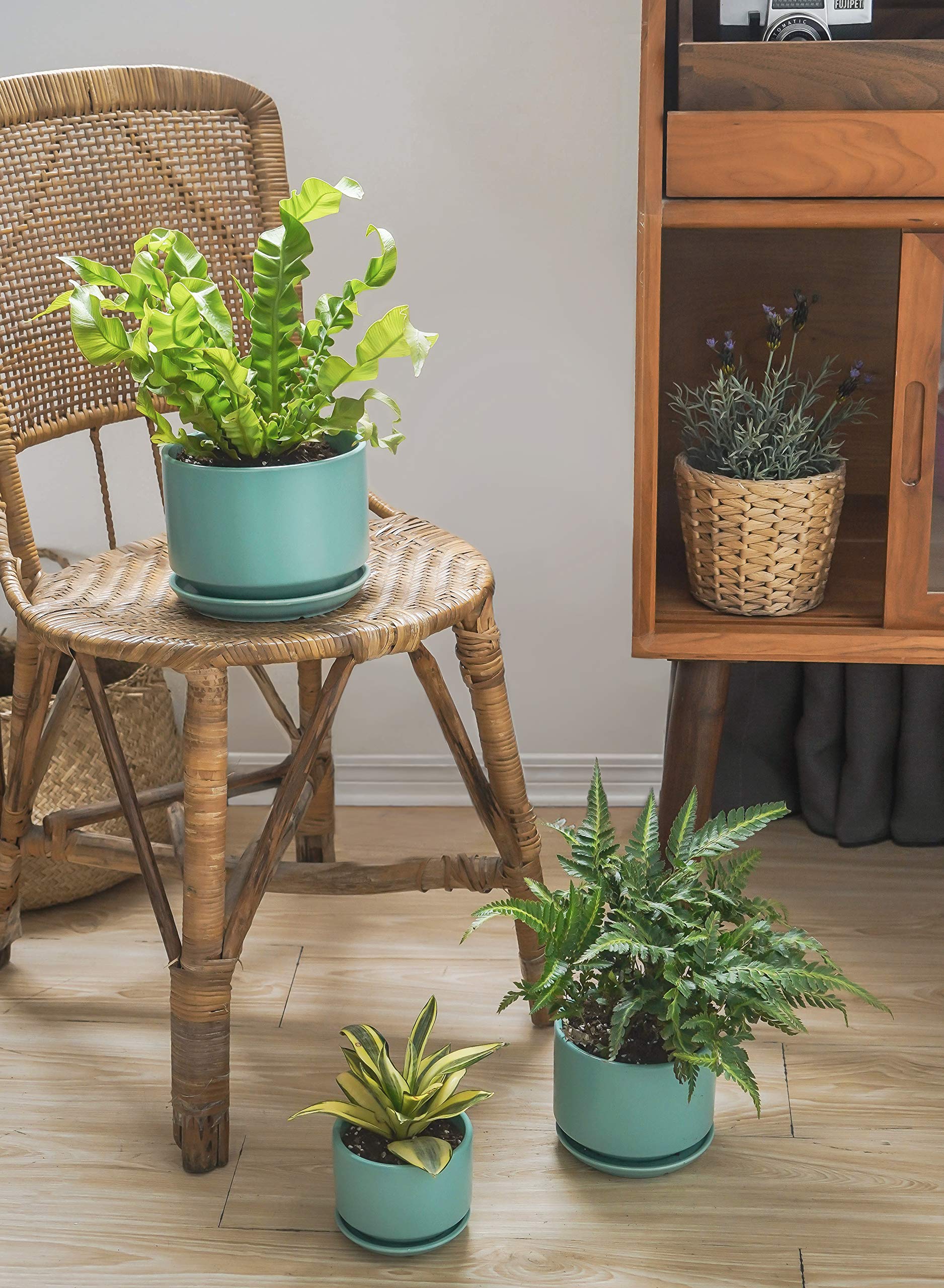 LE TAUCI ceramic pots in a modern home setting