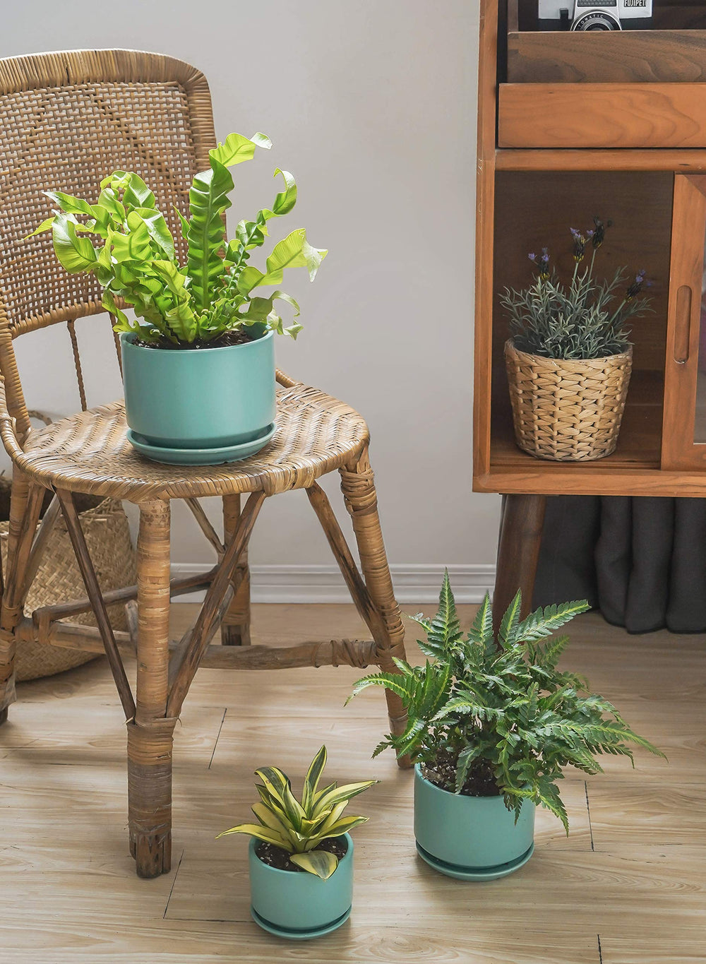 LE TAUCI ceramic pots in a modern home setting