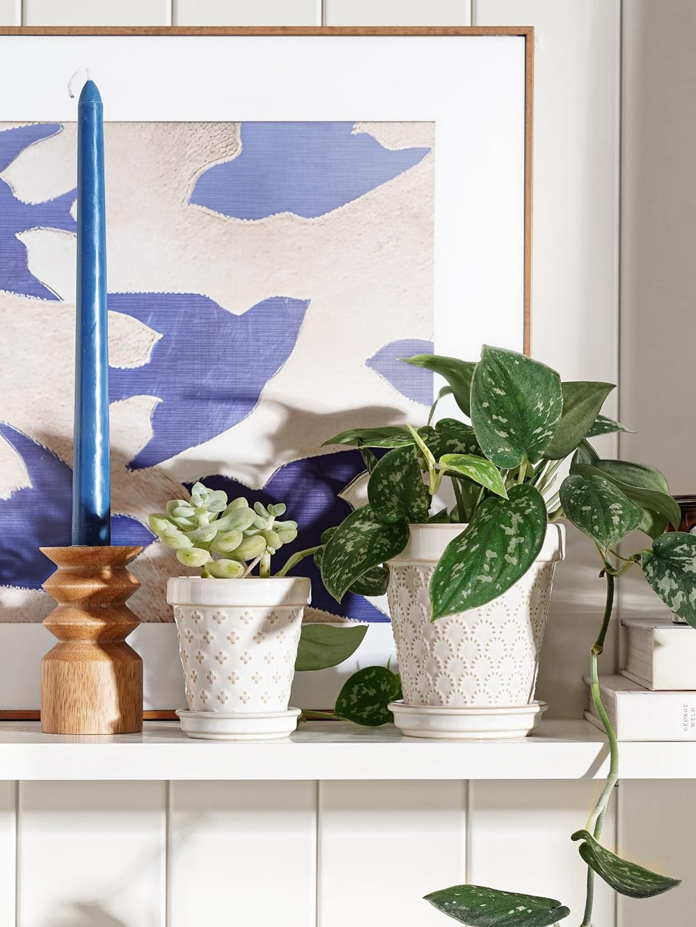 LE TAUCI embossed flower pot with small plant
