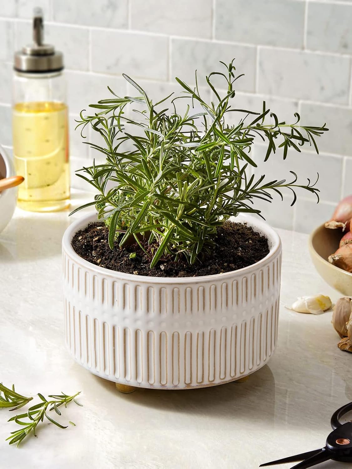LE TAUCI succulent planters in a modern home decor setting
