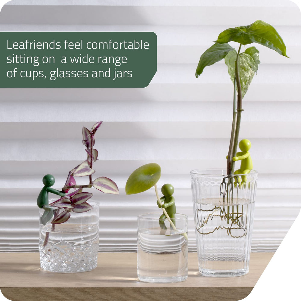 Leafriend Plant Propagation Buddy with flowers in a vase