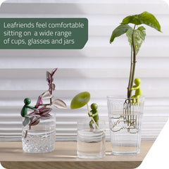Leafriend Plant Propagation Buddy with flowers in a vase