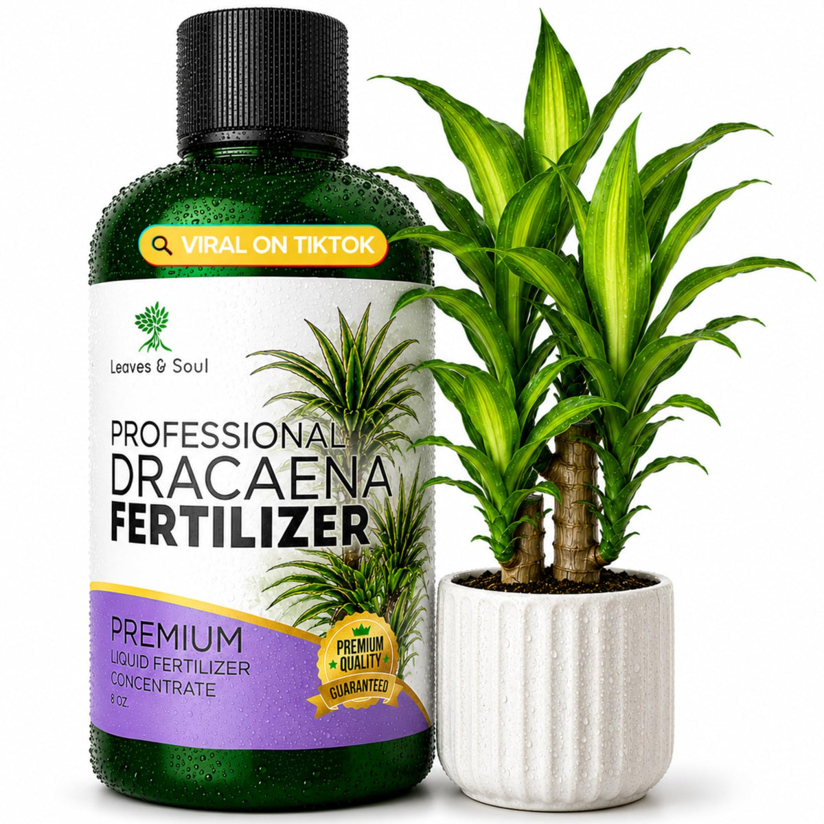 Leaves and Soul Dracaena Plant Fertilizer Liquid 8 oz front view