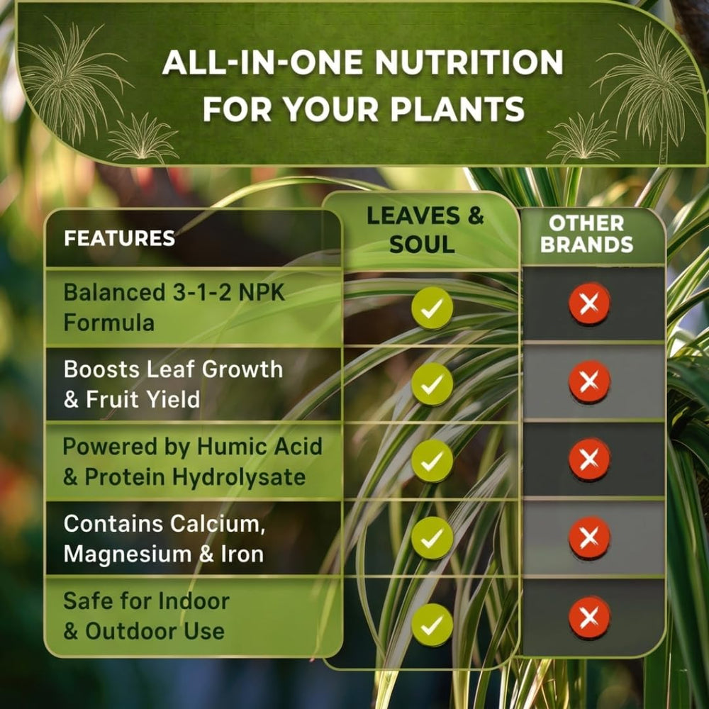 Leaves and Soul Dracaena Plant Fertilizer Liquid packaging and label