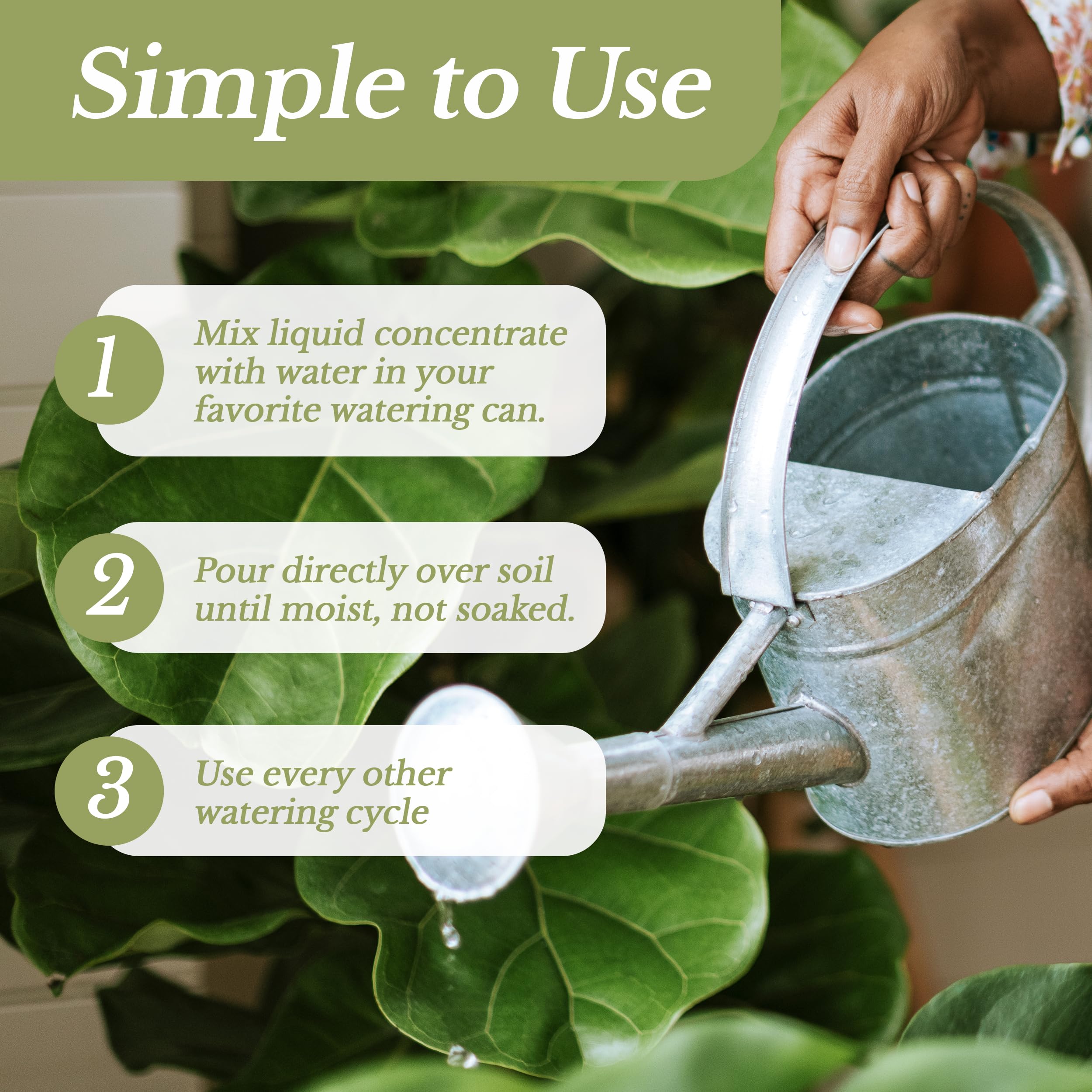 Leaves and Soul Liquid Orchid Fertilizer with indoor orchids