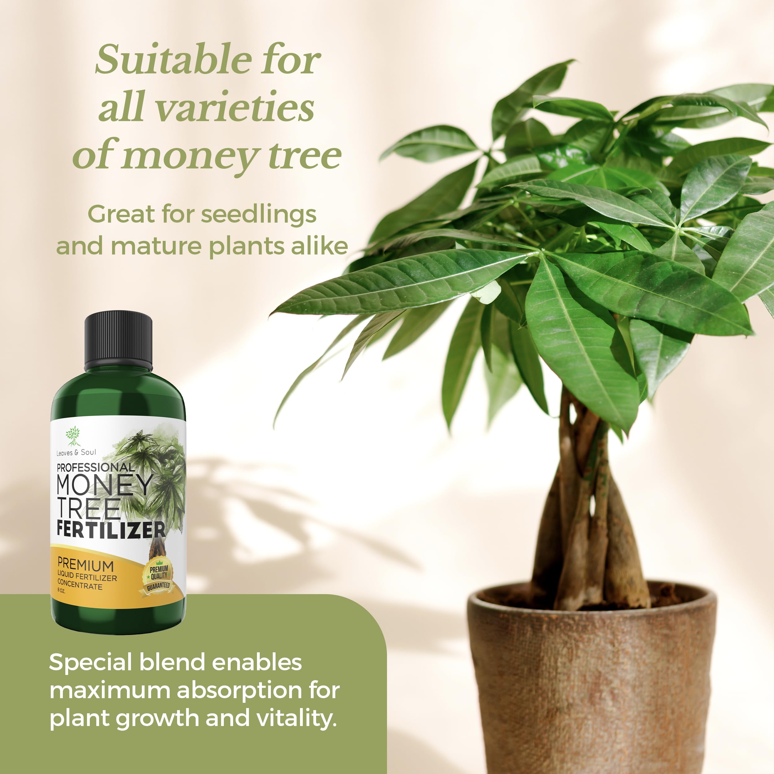 Leaves and Soul Money Tree Fertilizer bottle in gardening setting