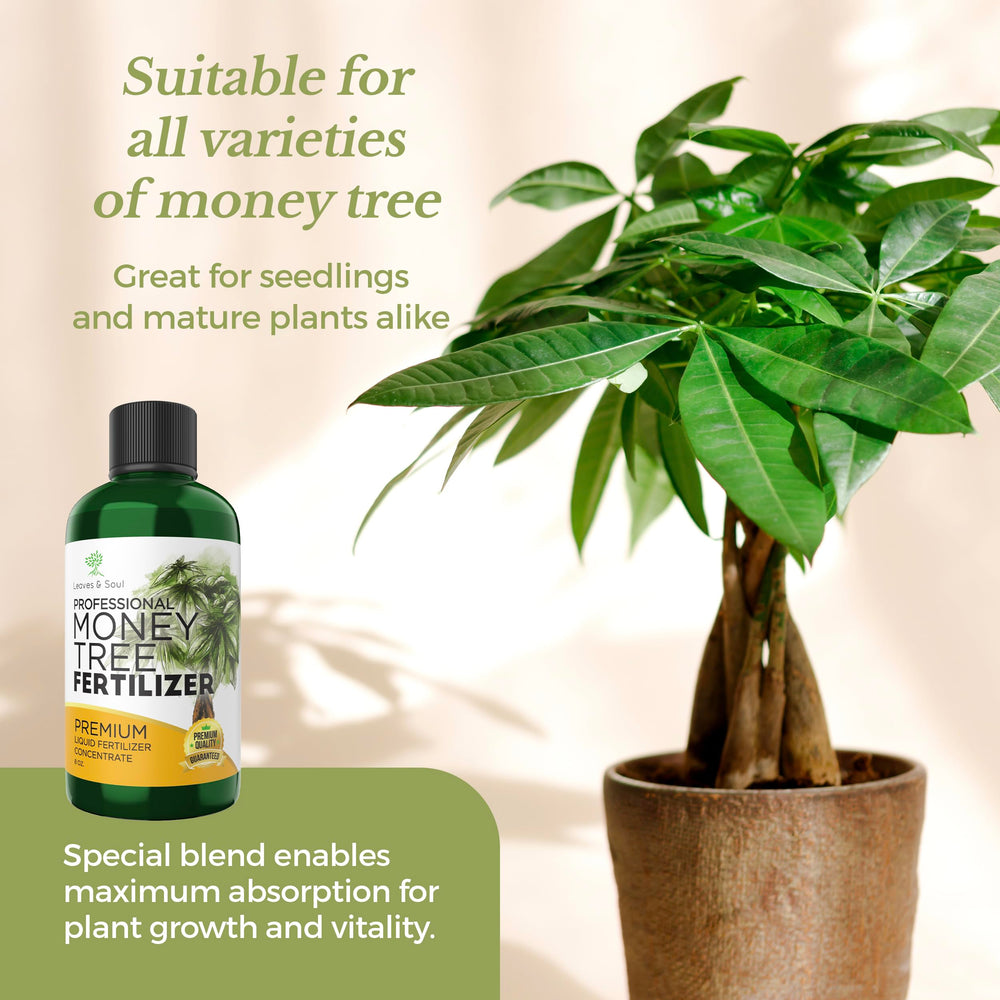 Leaves and Soul Money Tree Fertilizer bottle in gardening setting