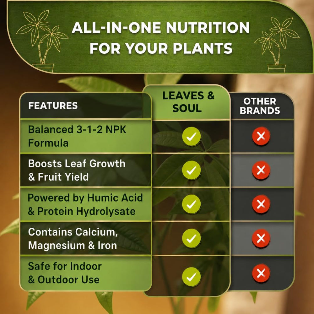 Leaves and Soul Money Tree Fertilizer liquid pouring into watering can