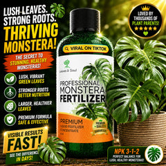 Leaves and Soul Monstera Fertilizer Liquid 8 oz bottle side view