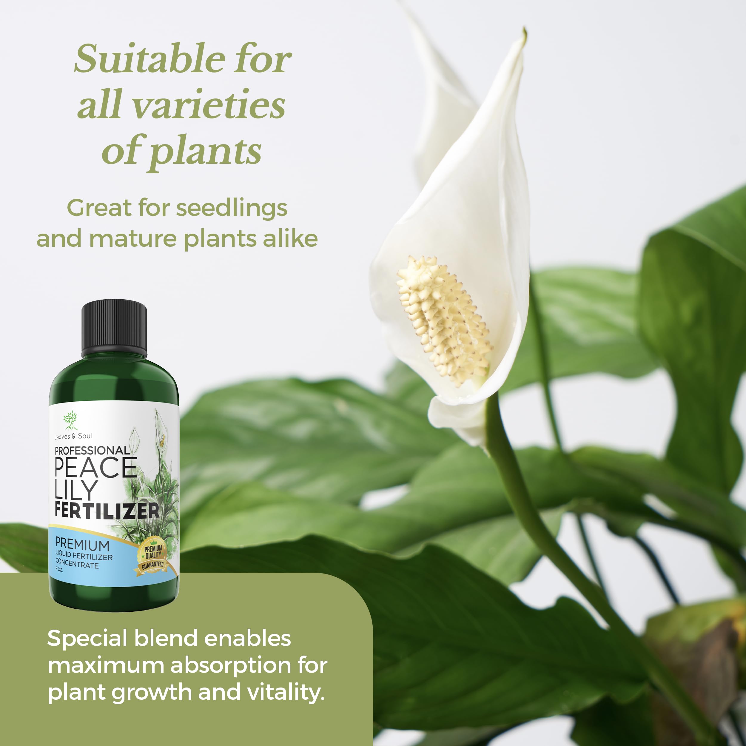 Leaves and Soul Peace Lily Fertilizer 3-1-2 bottle top view