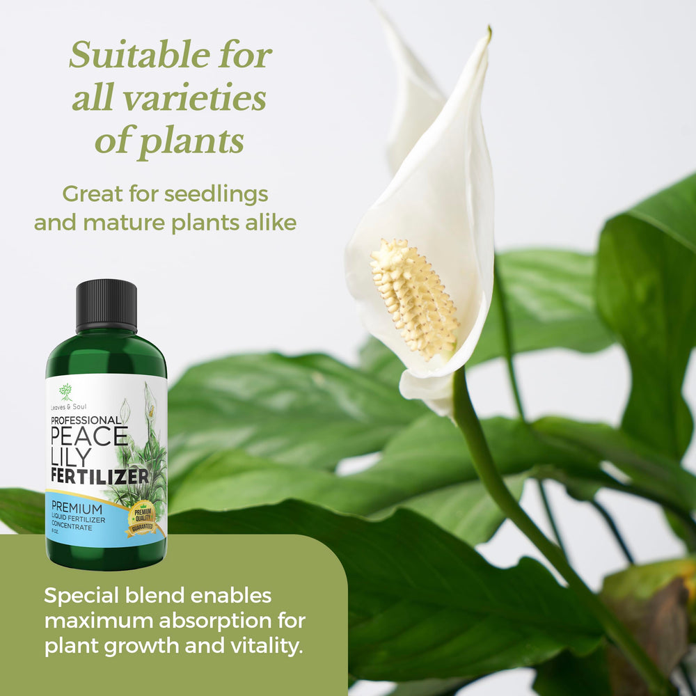 Leaves and Soul Peace Lily Fertilizer 3-1-2 bottle top view