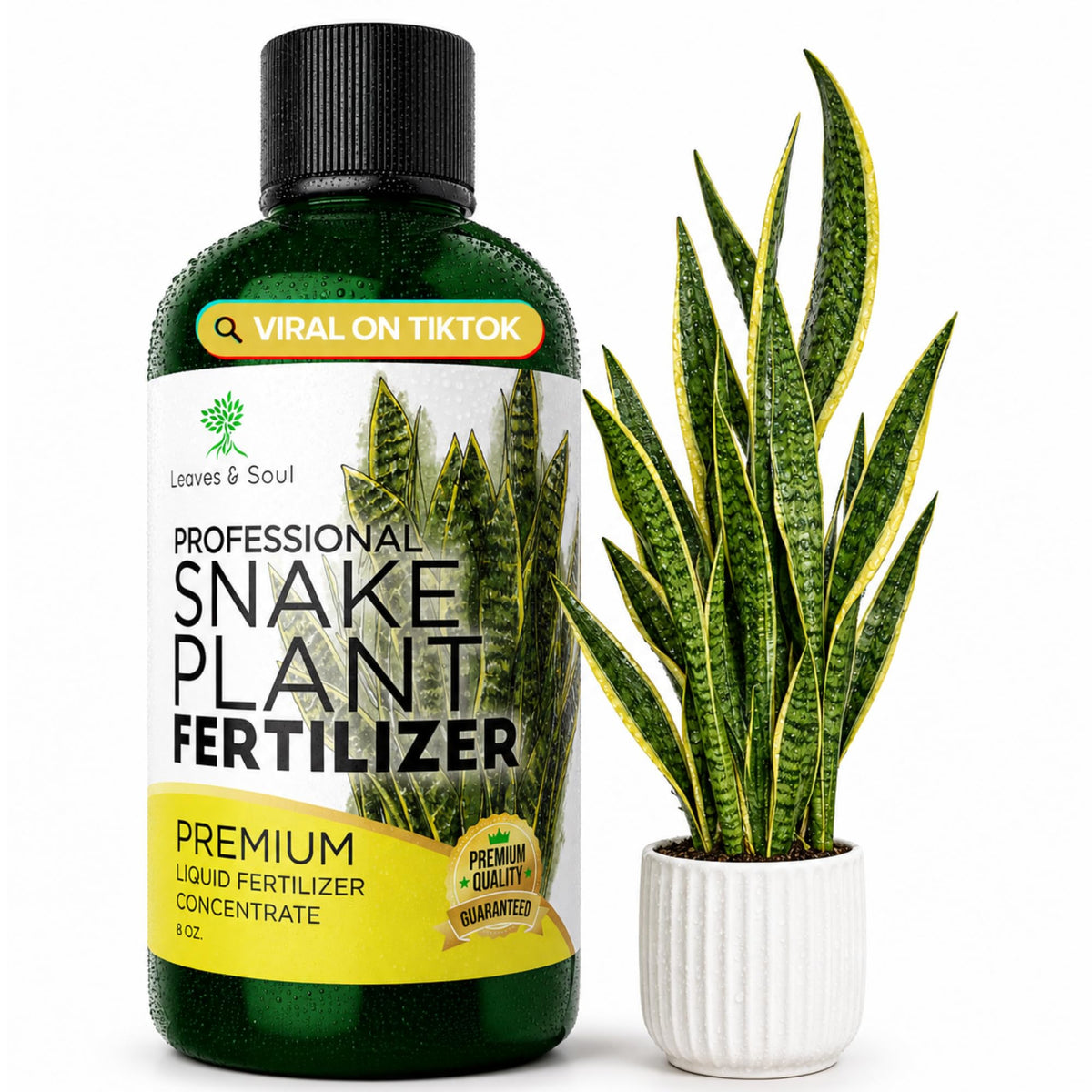Leaves and Soul Professional Liquid Snake Plant Fertilizer 8 oz bottle front view