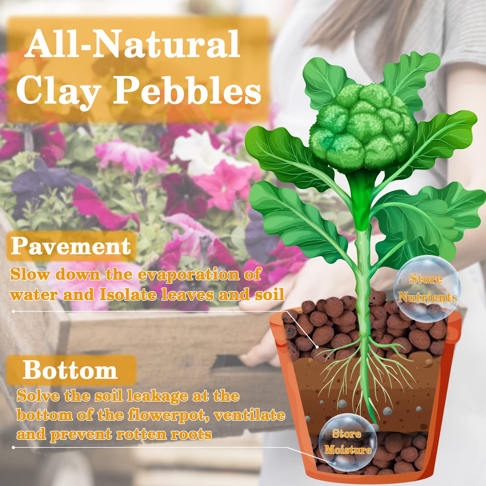 Leca Clay Pebbles used in a hydroponic setup