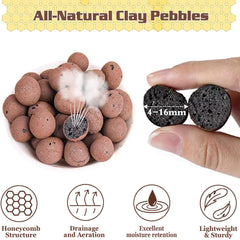 Legigo 2LB Leca Clay Pebbles close-up of clay balls