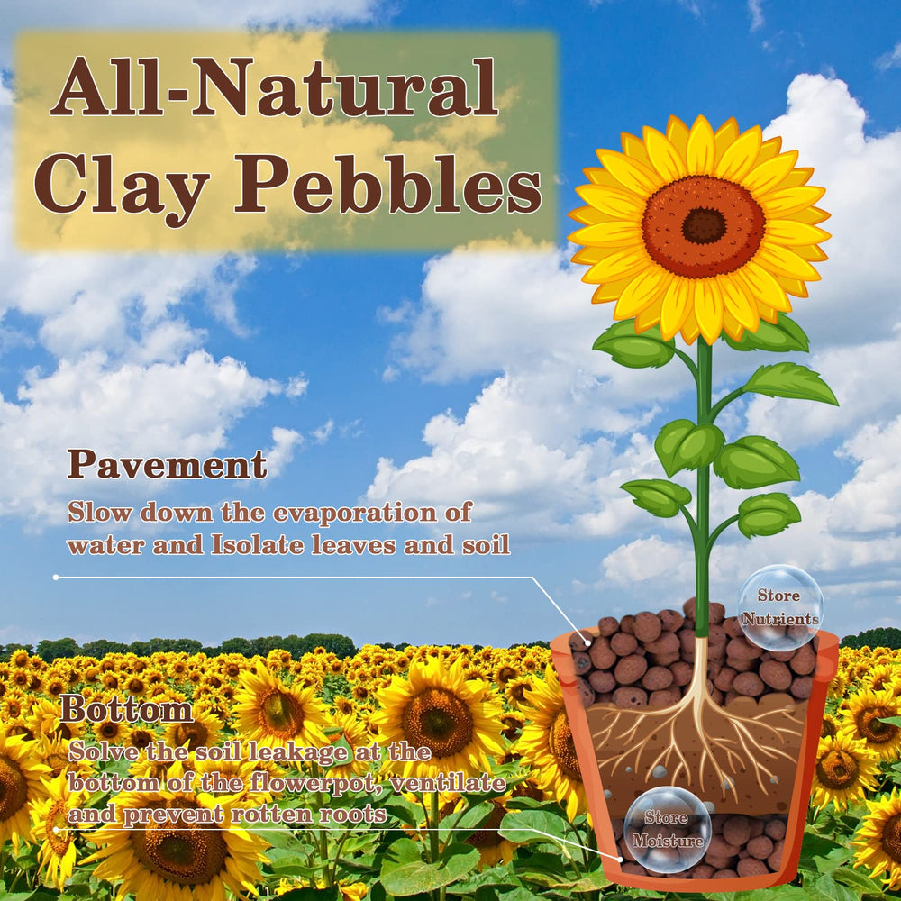 Legigo 2LB Leca Clay Pebbles in a decorative pot