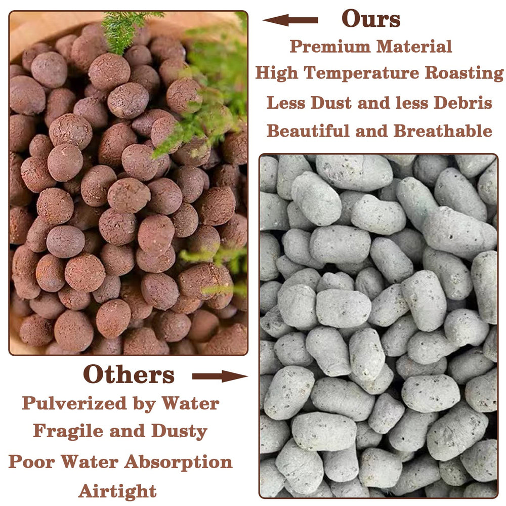 Legigo 2LB Leca Clay Pebbles in a terrarium setup