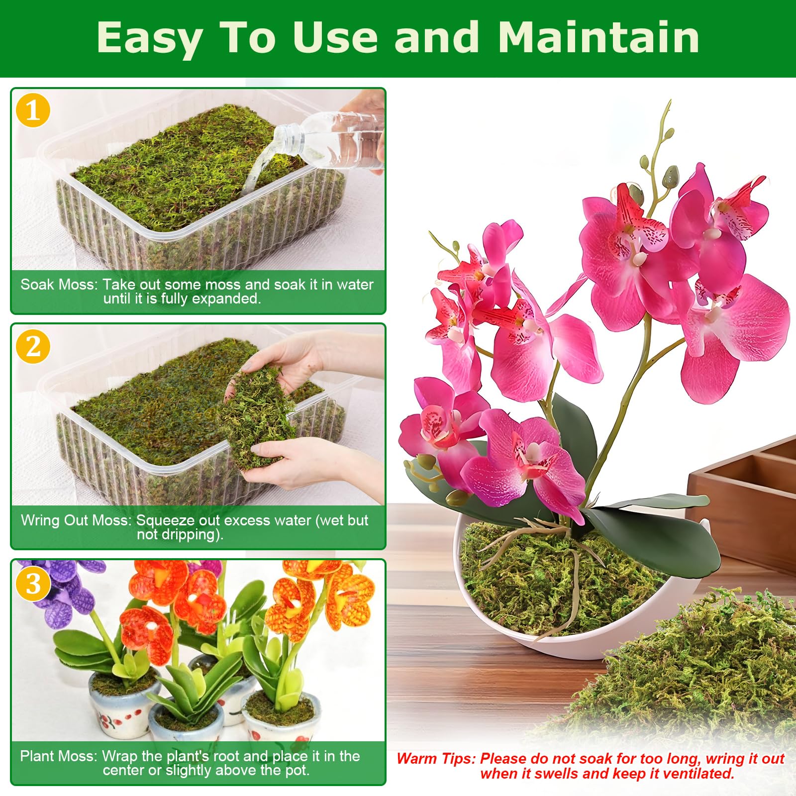 Legigo 7oz sphagnum moss in a pot with orchids