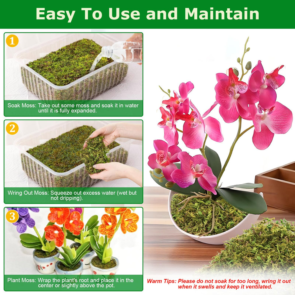 Legigo 7oz sphagnum moss in a pot with orchids