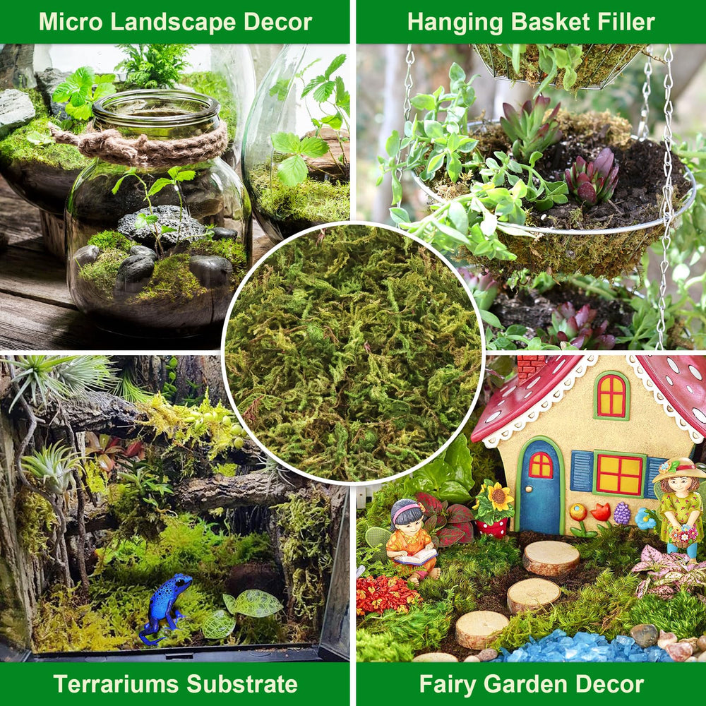 Legigo 7oz sphagnum moss showing compressed brick form