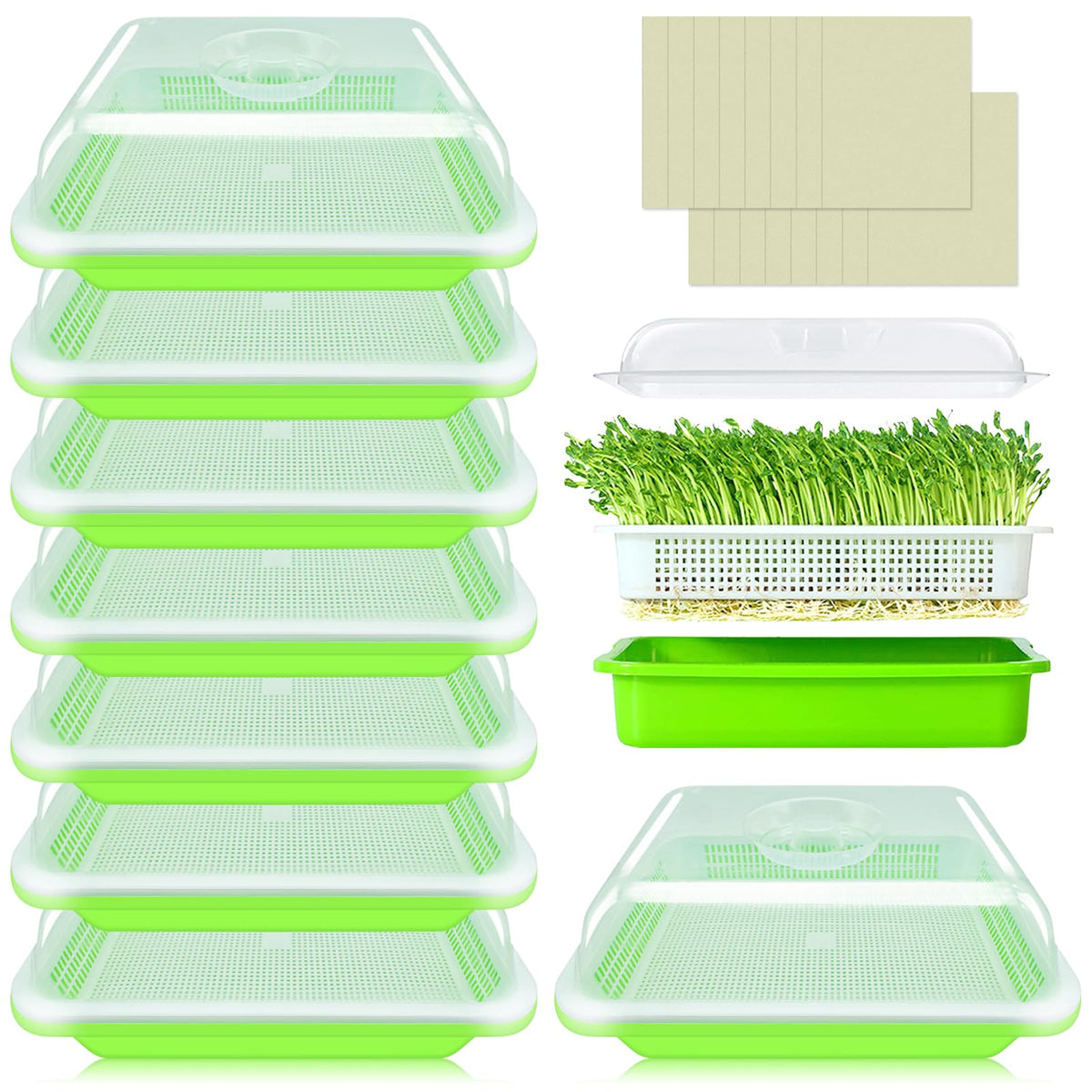 Legigo 8 pack seed sprouter trays with lids, green