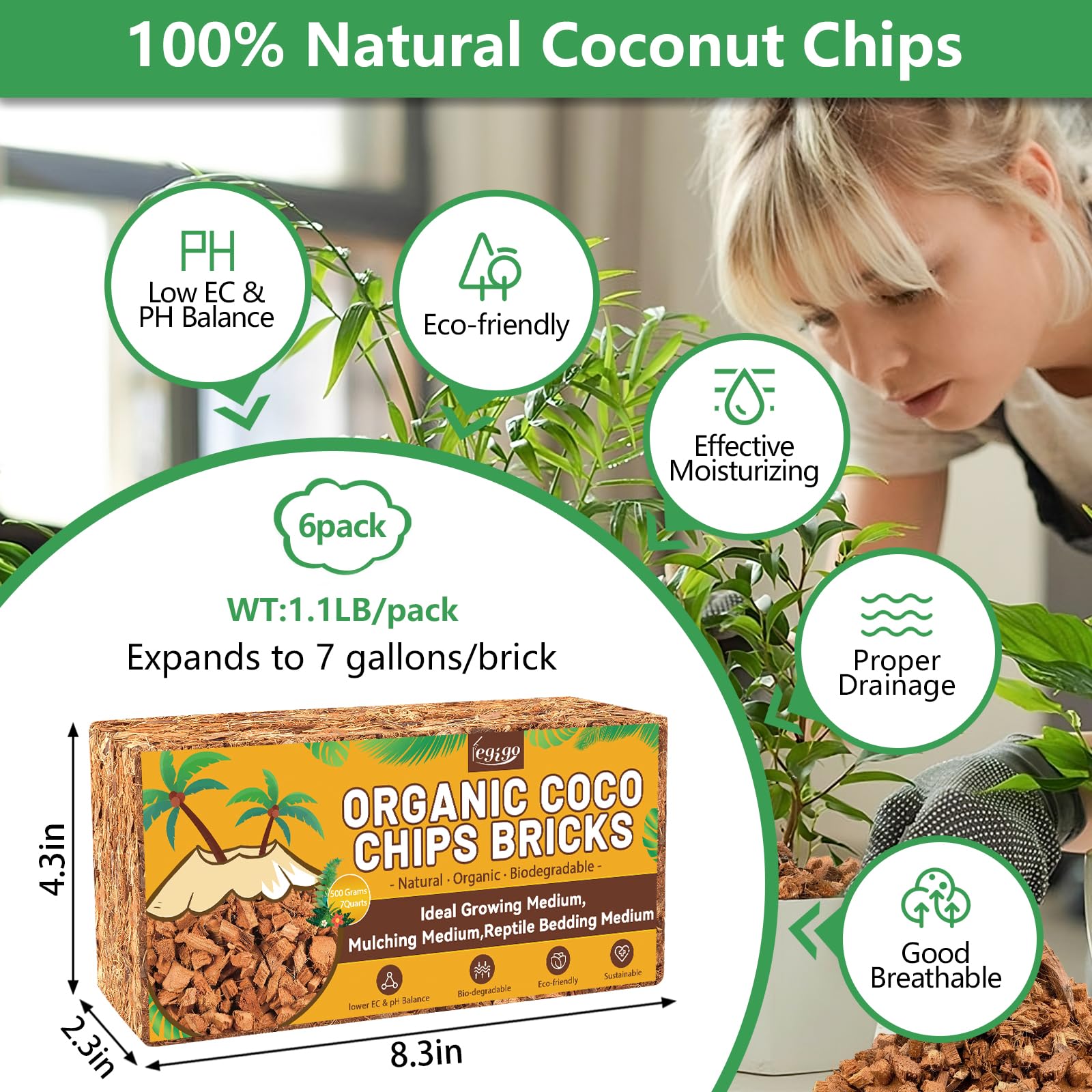 Legigo Coco Chips 6 Pack showing individual bricks