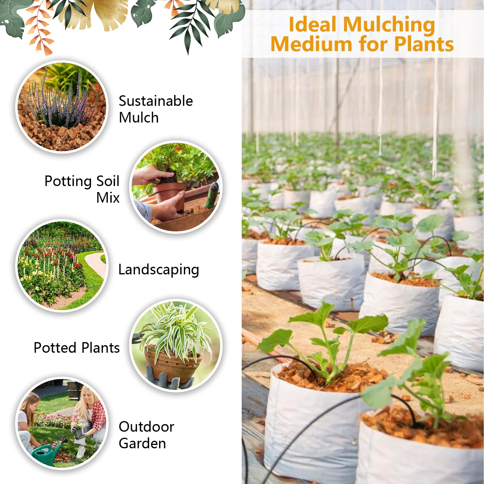 Legigo Coco Chips for Plants expanding in water