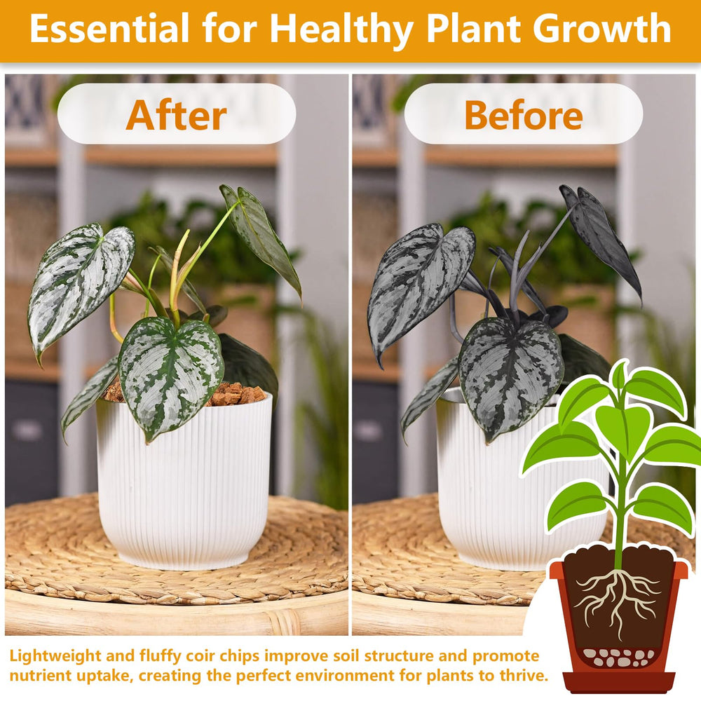 Legigo Coco Chips for Plants in a pot with indoor plants