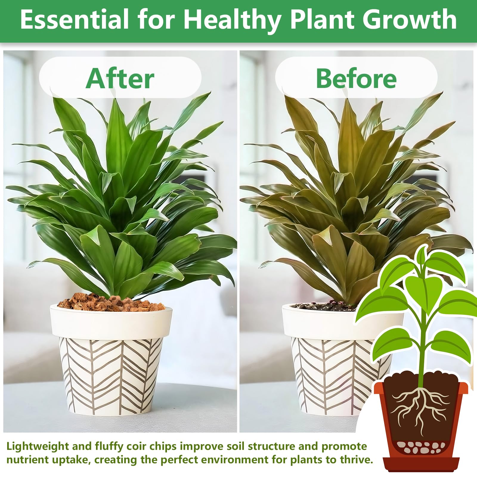 Legigo Coco Chips used in a potted plant