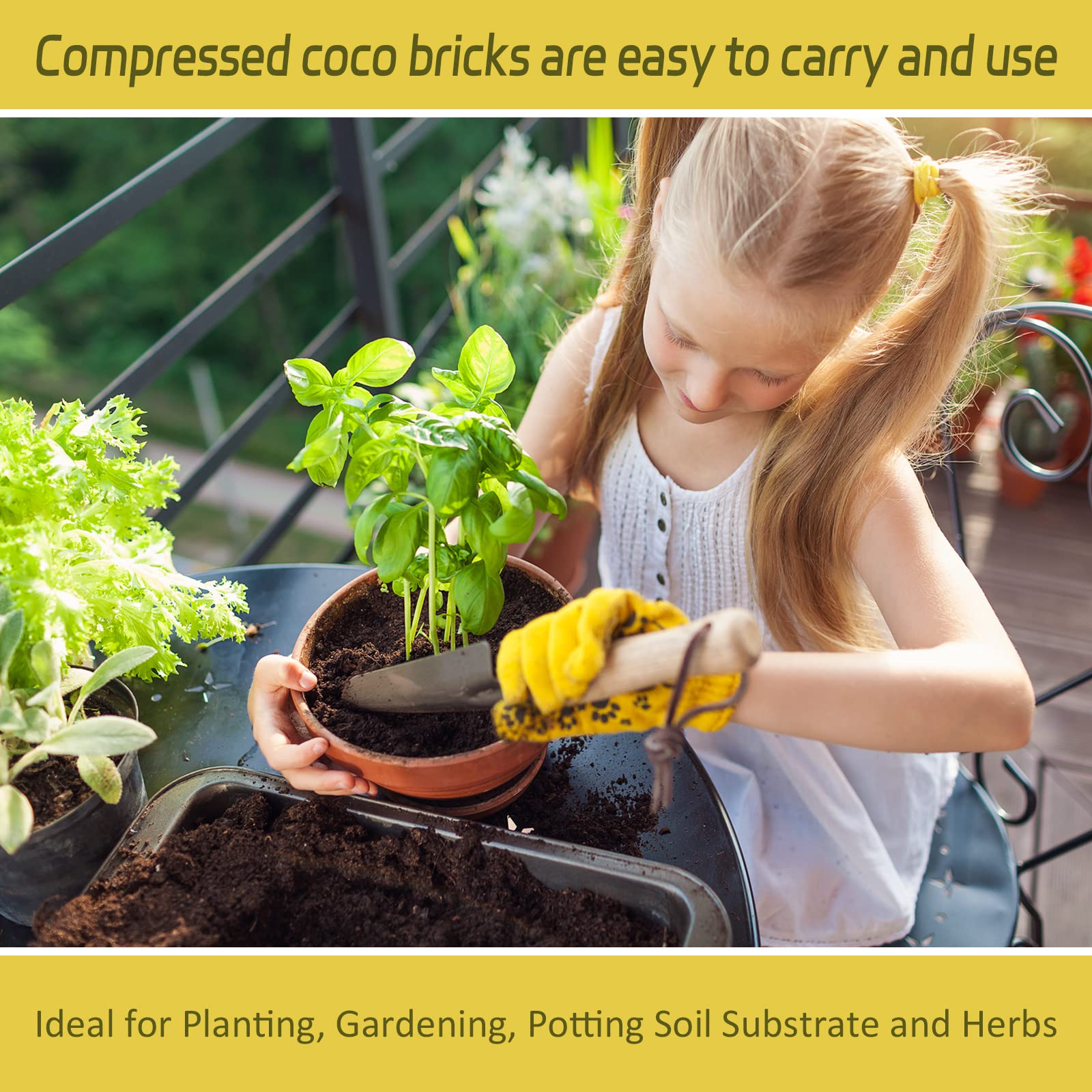 Legigo Coco Coir Brick for microgreens cultivation