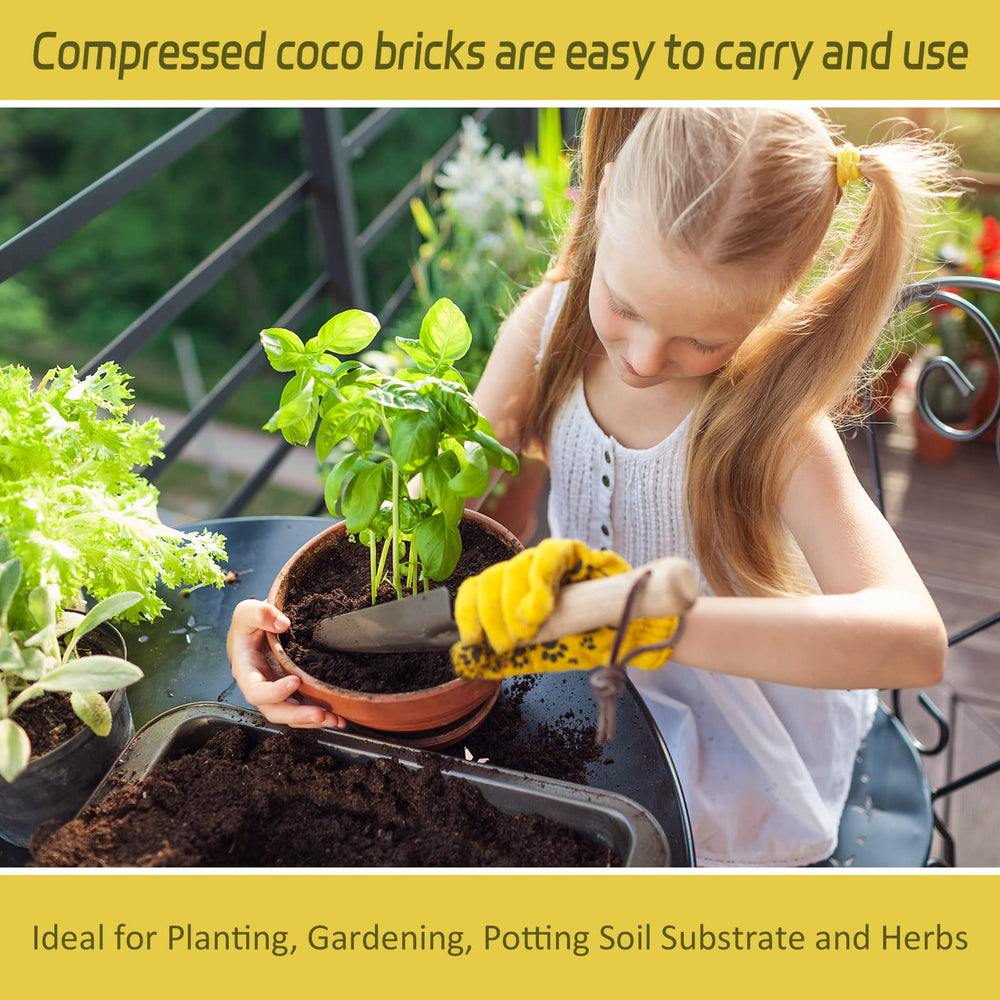 Legigo Coco Coir Brick for microgreens cultivation