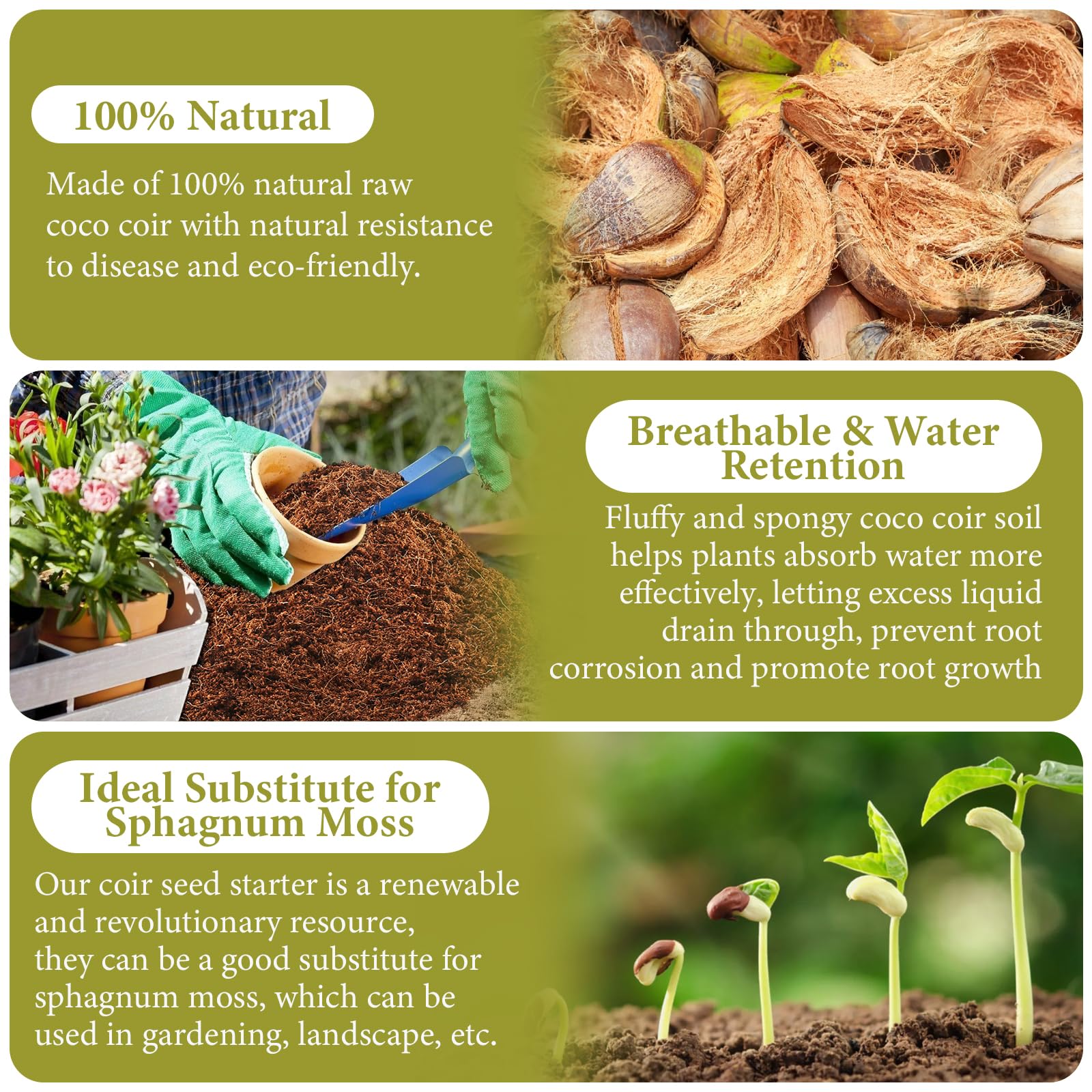 Legigo Coco Coir Brick in use with potted plants